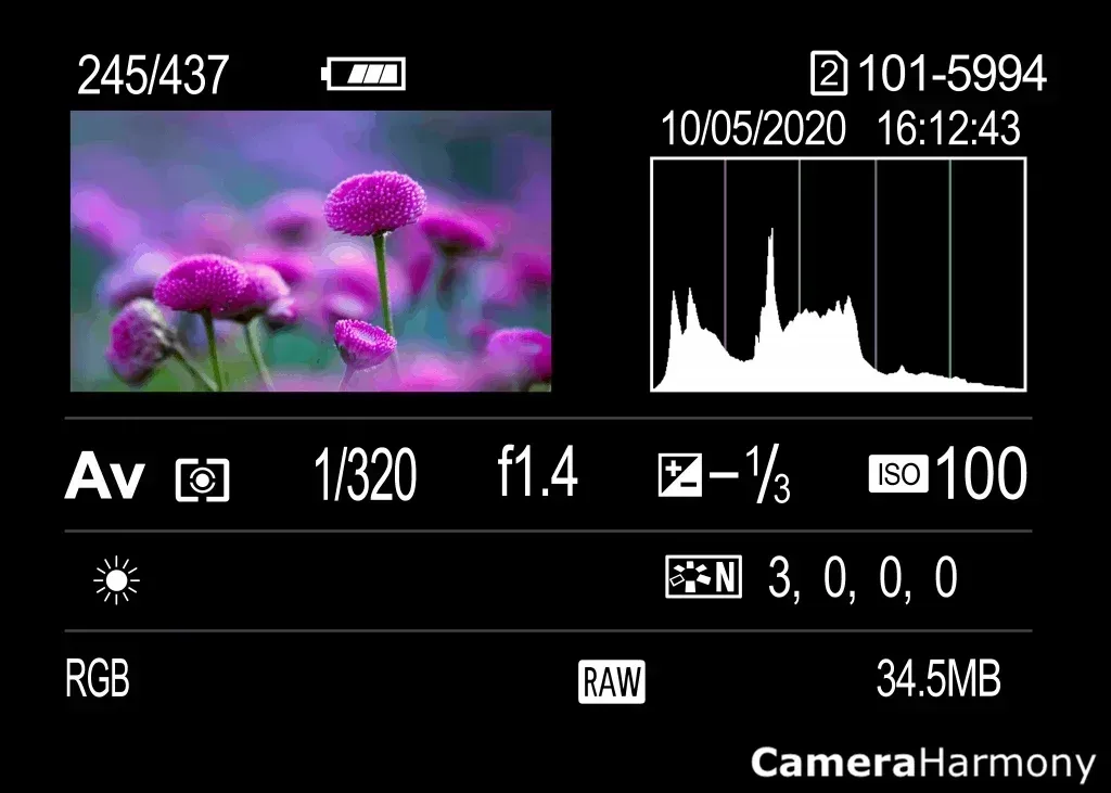 camera screen histogram